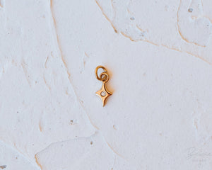 Astra Charm Gold or Silver